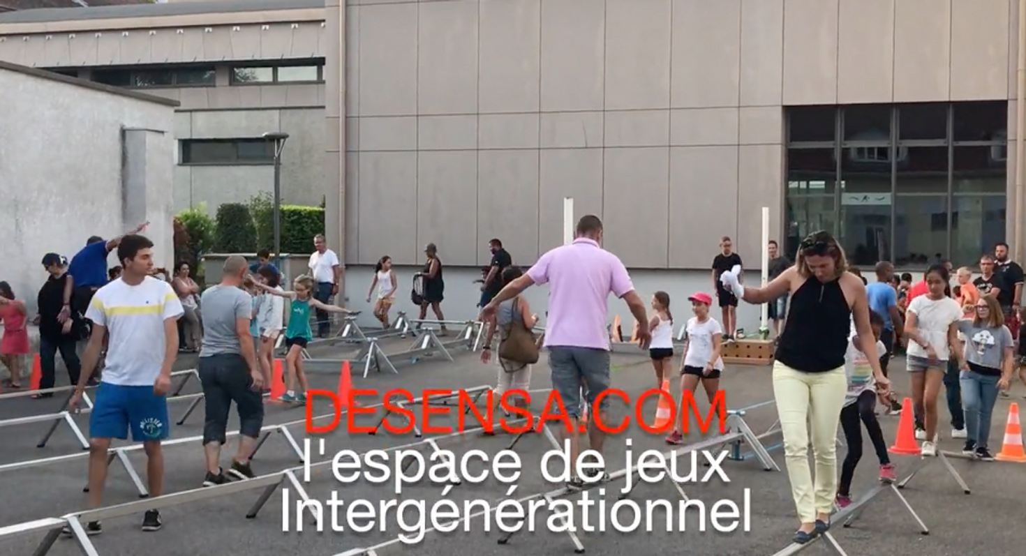 Présentation DESENSA